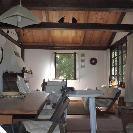 Modrzewiowy Domek Letniskowy - Stare Czaple Brodnica  Exterior foto