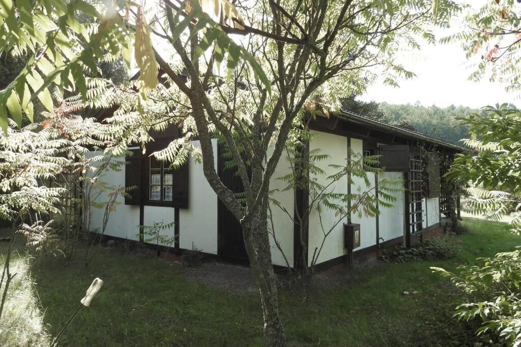 Modrzewiowy Domek Letniskowy - Stare Czaple Brodnica  Exterior foto