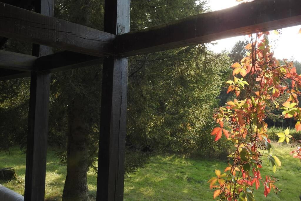 Modrzewiowy Domek Letniskowy - Stare Czaple Brodnica  Exterior foto
