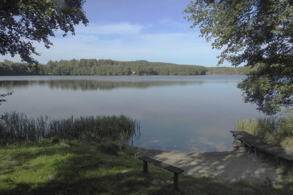 Modrzewiowy Domek Letniskowy - Stare Czaple Brodnica  Exterior foto
