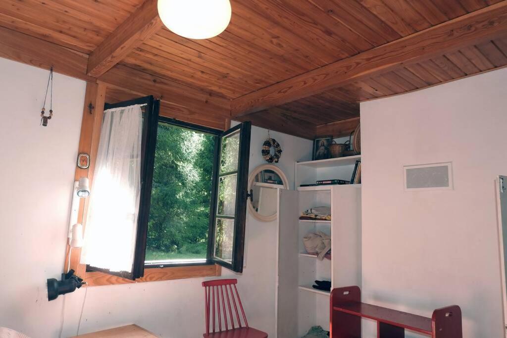Modrzewiowy Domek Letniskowy - Stare Czaple Brodnica  Exterior foto