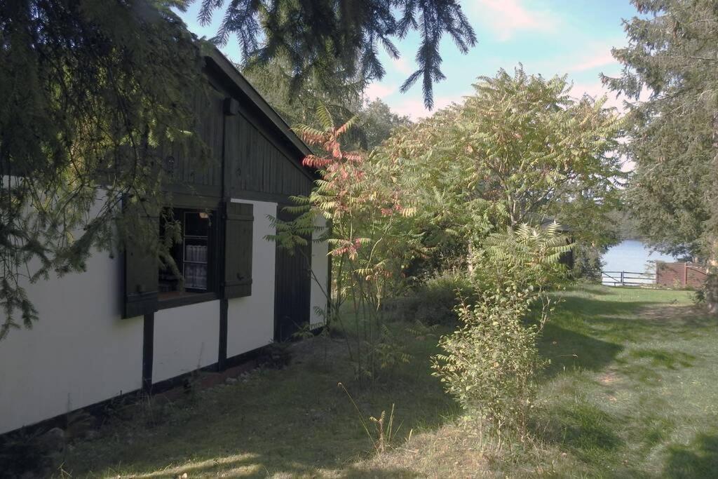 Modrzewiowy Domek Letniskowy - Stare Czaple Brodnica  Exterior foto