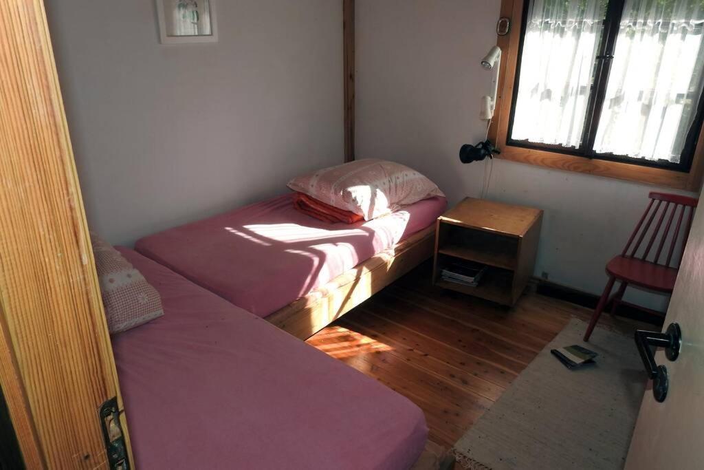 Modrzewiowy Domek Letniskowy - Stare Czaple Brodnica  Exterior foto