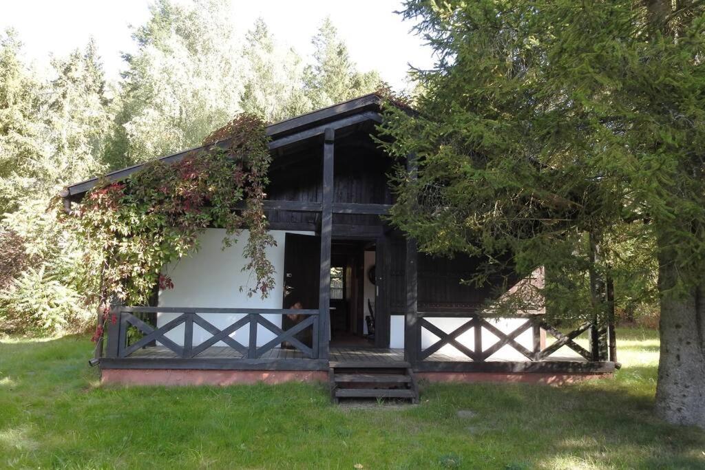 Modrzewiowy Domek Letniskowy - Stare Czaple Brodnica  Exterior foto