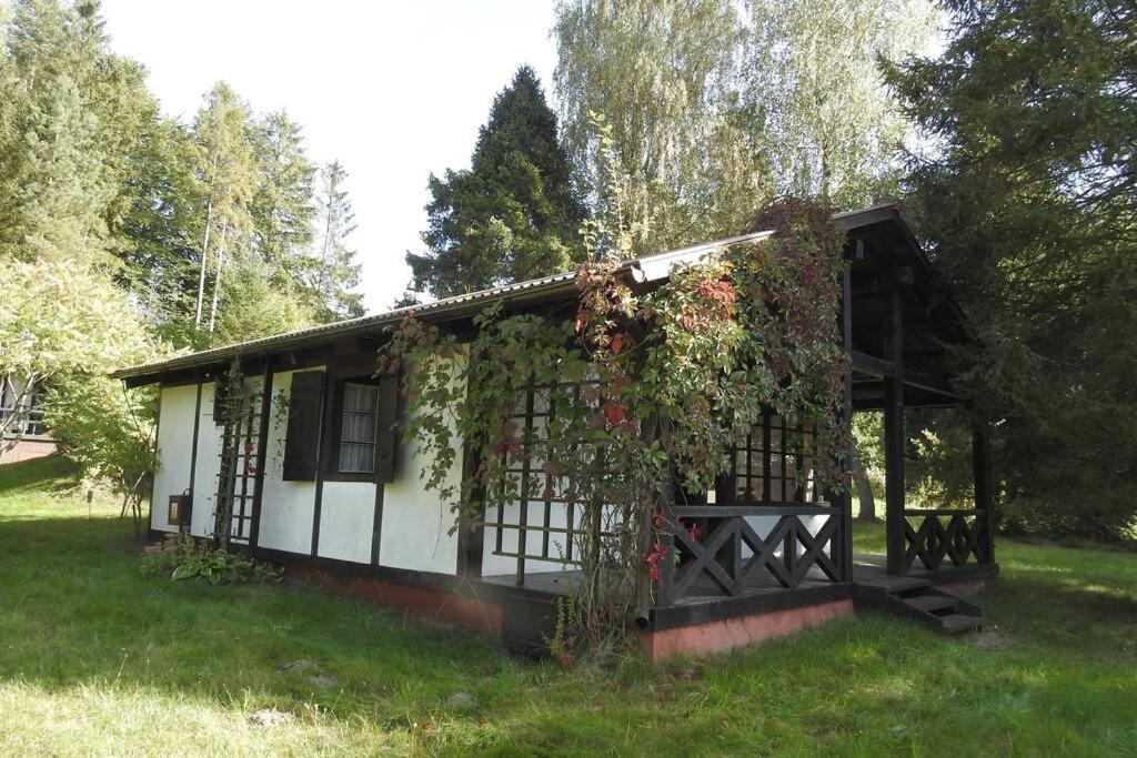 Modrzewiowy Domek Letniskowy - Stare Czaple Brodnica  Exterior foto
