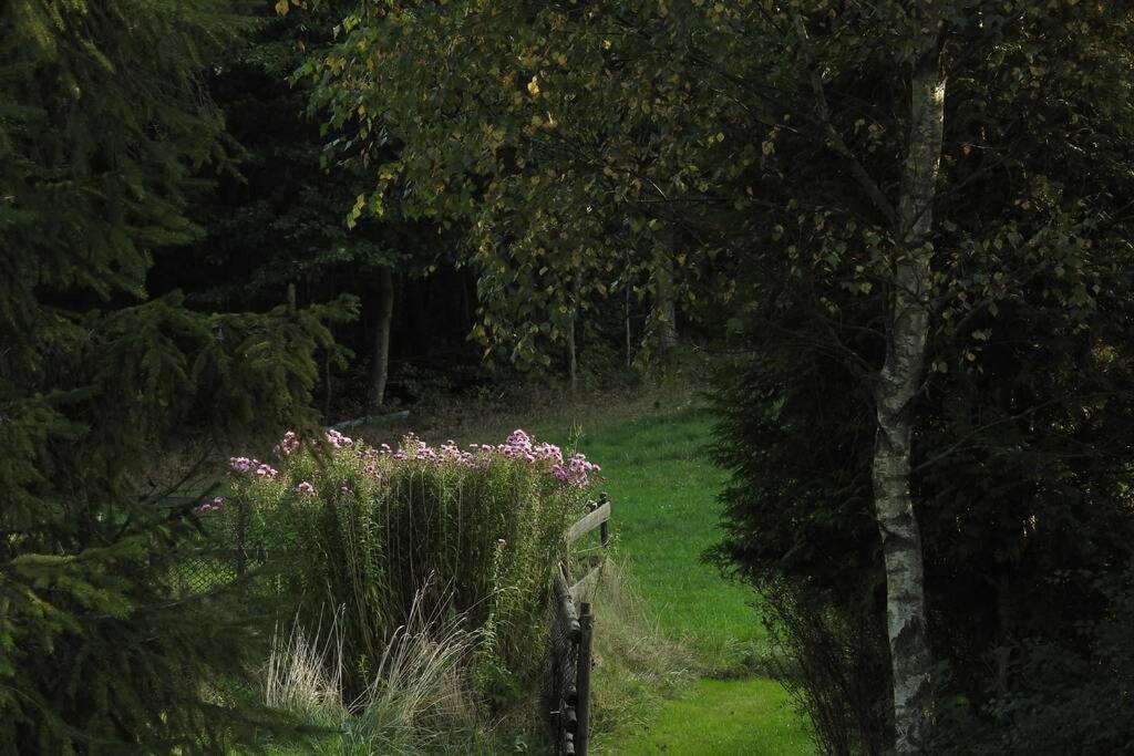 Modrzewiowy Domek Letniskowy - Stare Czaple Brodnica  Exterior foto