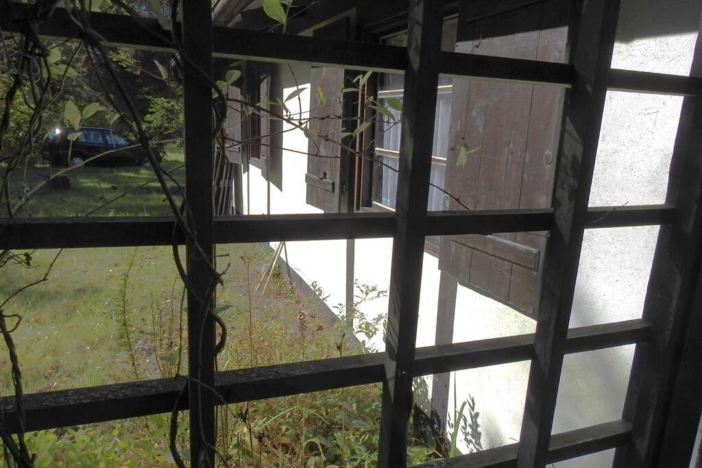 Modrzewiowy Domek Letniskowy - Stare Czaple Brodnica  Exterior foto